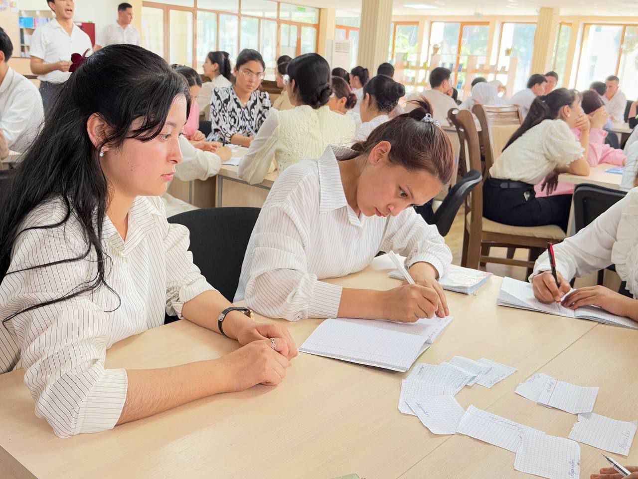 NamDPIda aql "jangi"