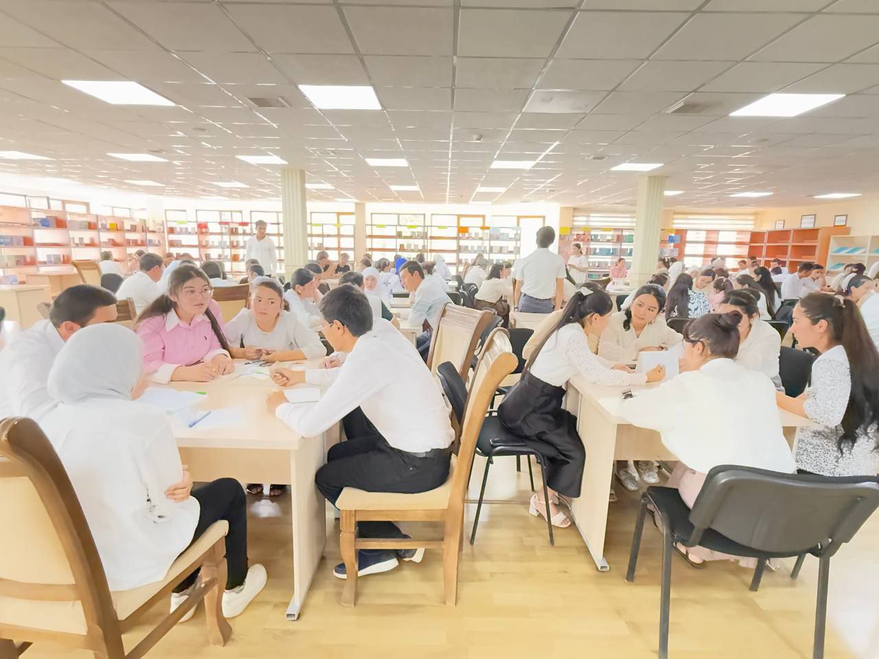 NamDPIda aql "jangi"