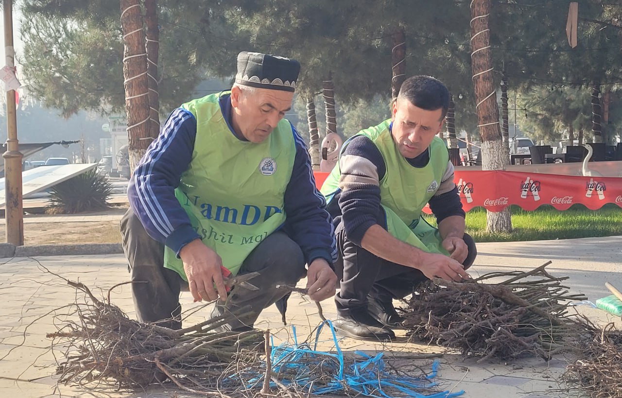 Namangan davlat pedagogika institutida ko‘kalamzorlashtirish ishlari avjida!