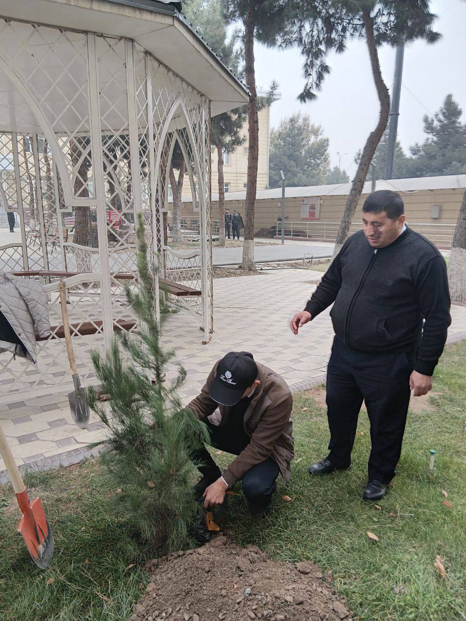 TABИАТ УЧУН КИЧИК ҚАДАМ — КЕЛАЖАК УЧУН КАТТА ҲИССА