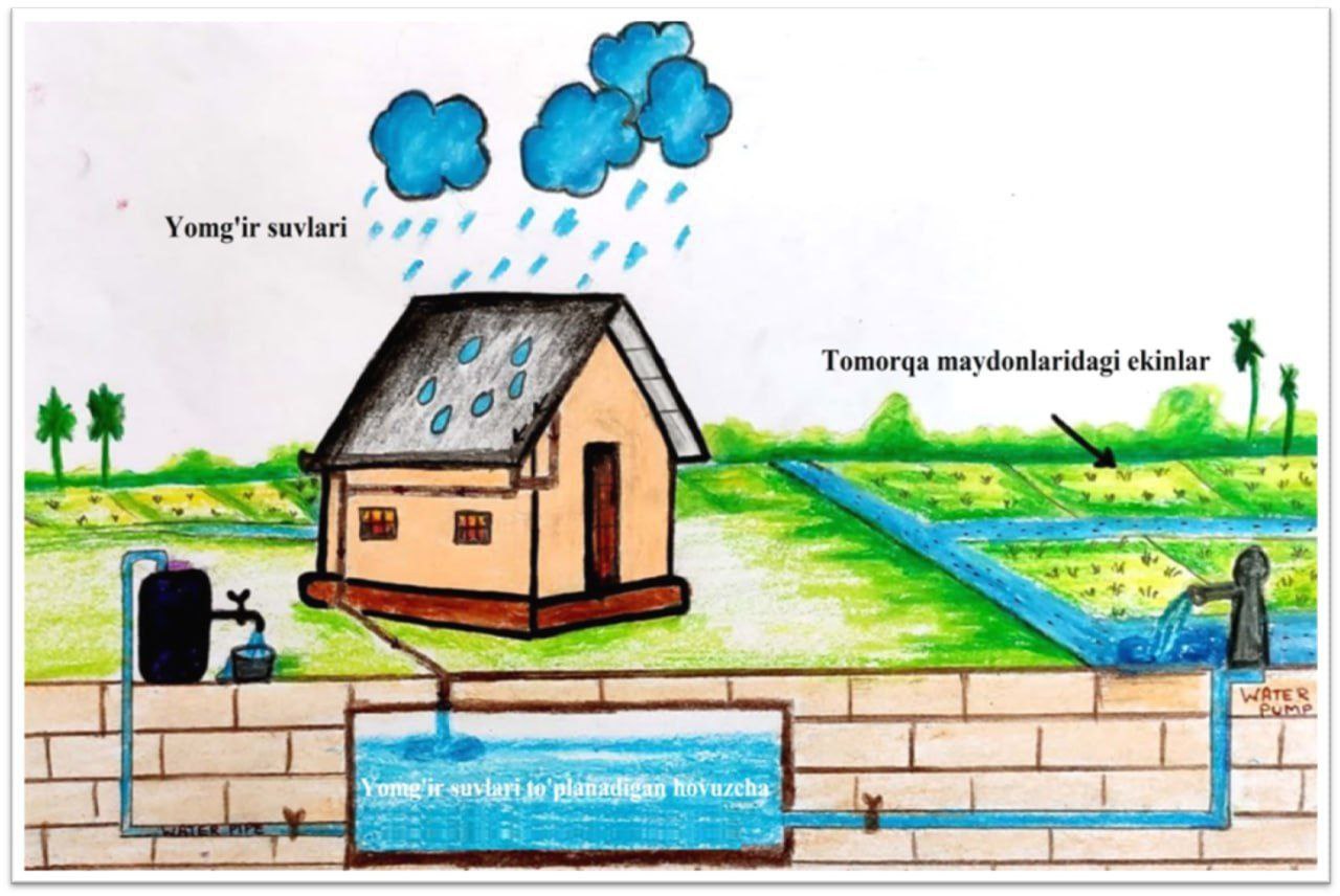 "AGROMASLAHAT"ning ilk agrotavsiyasi