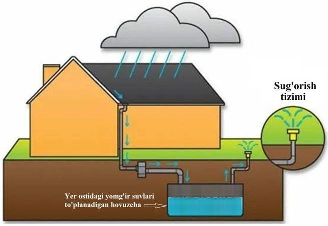 "AGROMASLAHAT"ning ilk agrotavsiyasi