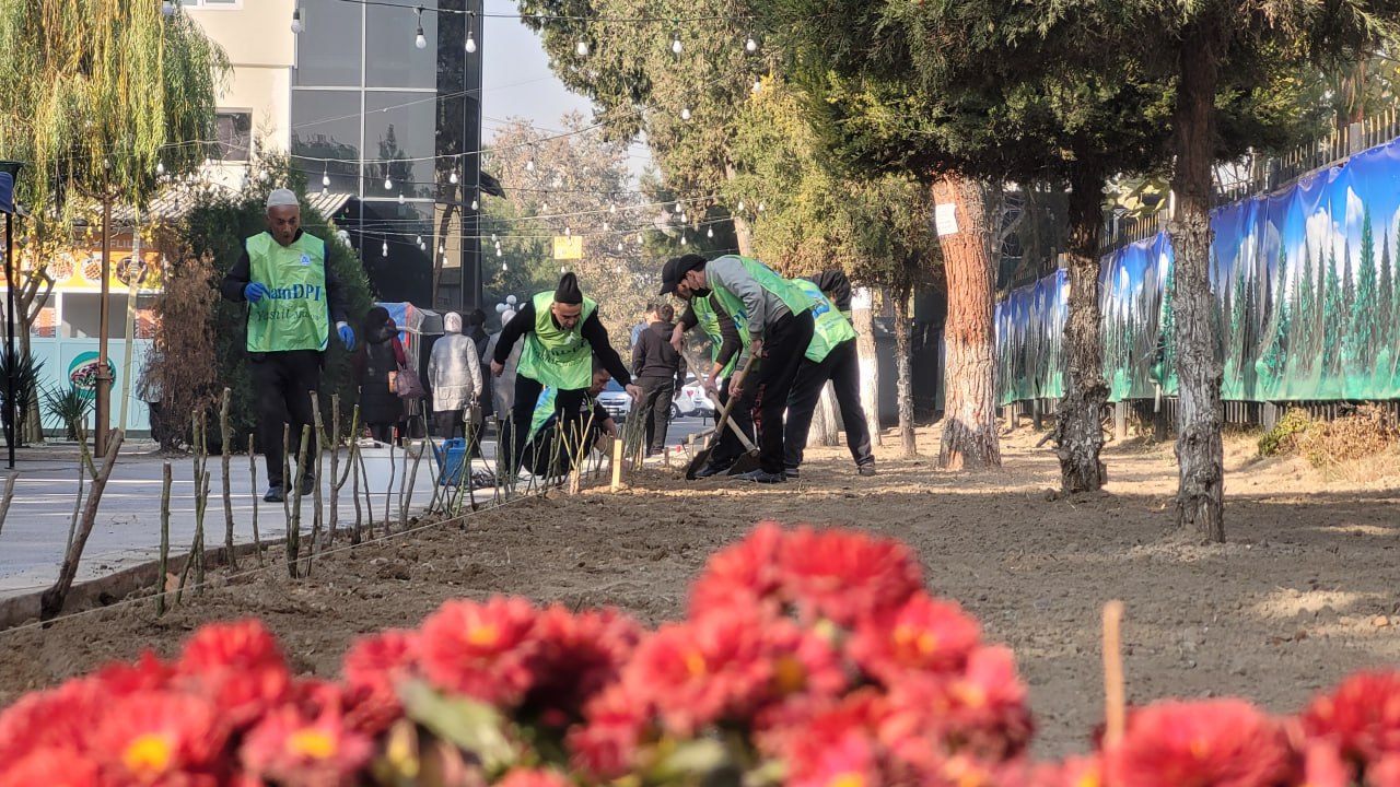 Namangan davlat pedagogika institutida ko‘kalamzorlashtirish ishlari avjida!