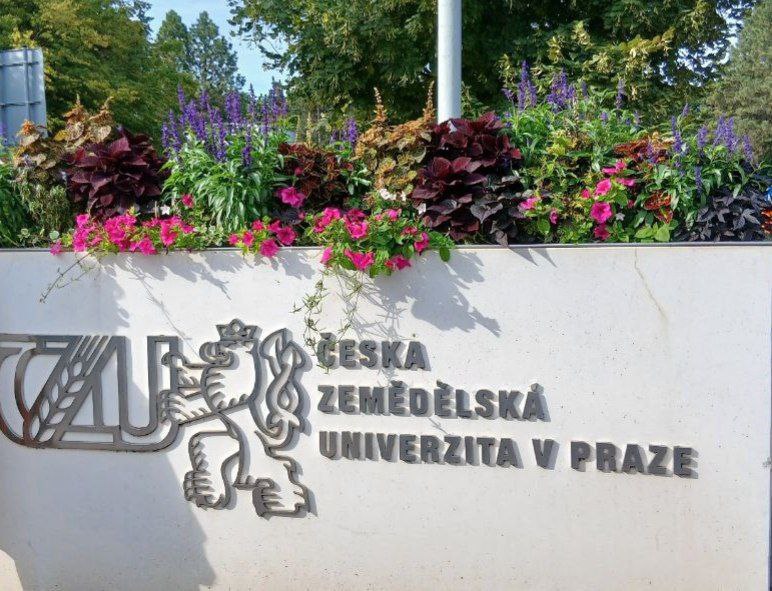 Global innovatsiyalar sari: NamDPI professor-o‘qituvchilari Chexiya ta’lim tizimida malaka oshirmoqda